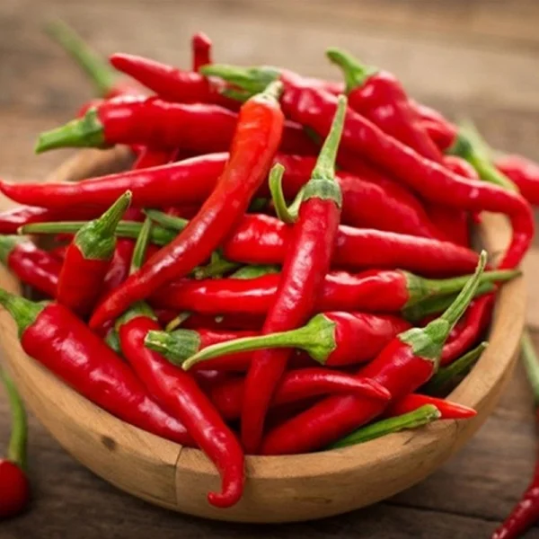 
Fresh vegetables and fruits Red Chili Pepper cheap price 