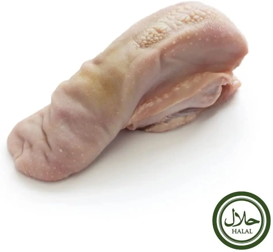 Halal Grass Fed Fresh Whole Lamb 14kg Halal Frozen Lamb Wholesale