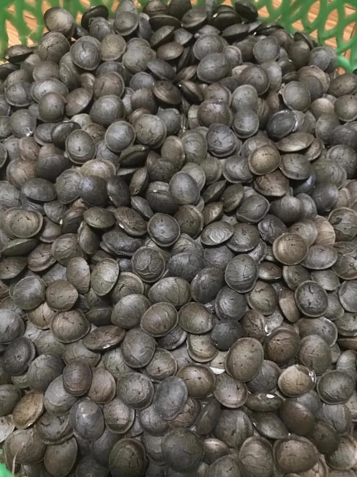 Вьетнамский сушеный Саша Инчи высокого качества по низкой цене-LOUIS H + 84943481858