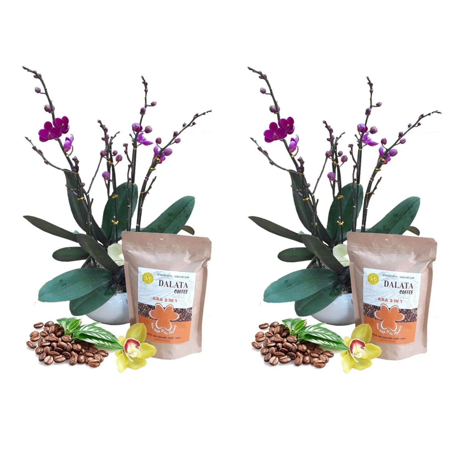 2.12% Max Moisture Coffee Powder Of Bag From Vietnam Dalat City 50% Arabica 30% Robusta 20% Cherry Organic Agriculture