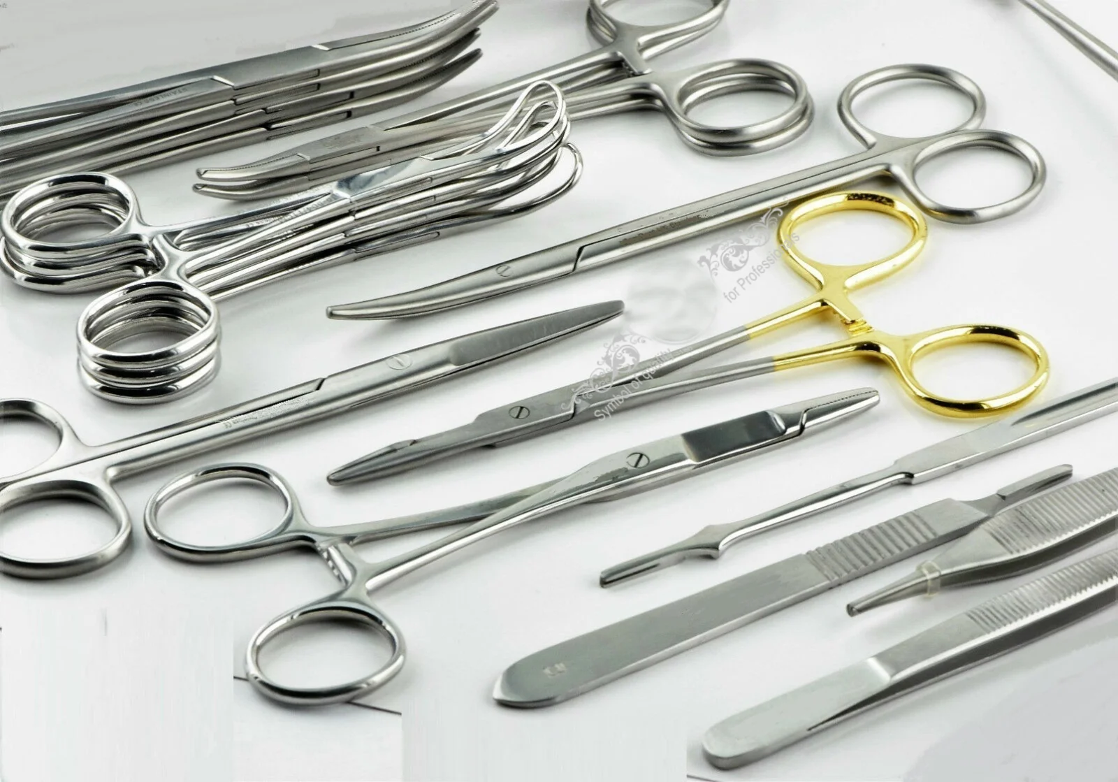 Surgical Veterinary Spay Surgery Kit Ovaries Removal Dentist Vet Lab Instruments