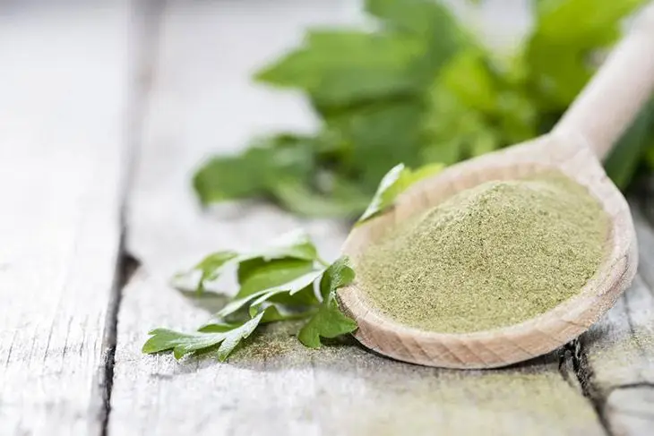 High Quality Freeze-Dried Celery Leaf Powder for Health and Beauty Care Liquid Form Cheap Price from Vietnam Manufacturer