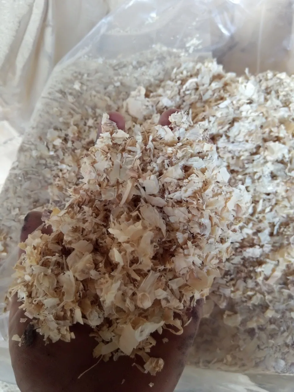 Wholesale Pine Wood Shavings for animal bedding for poultry For Sale