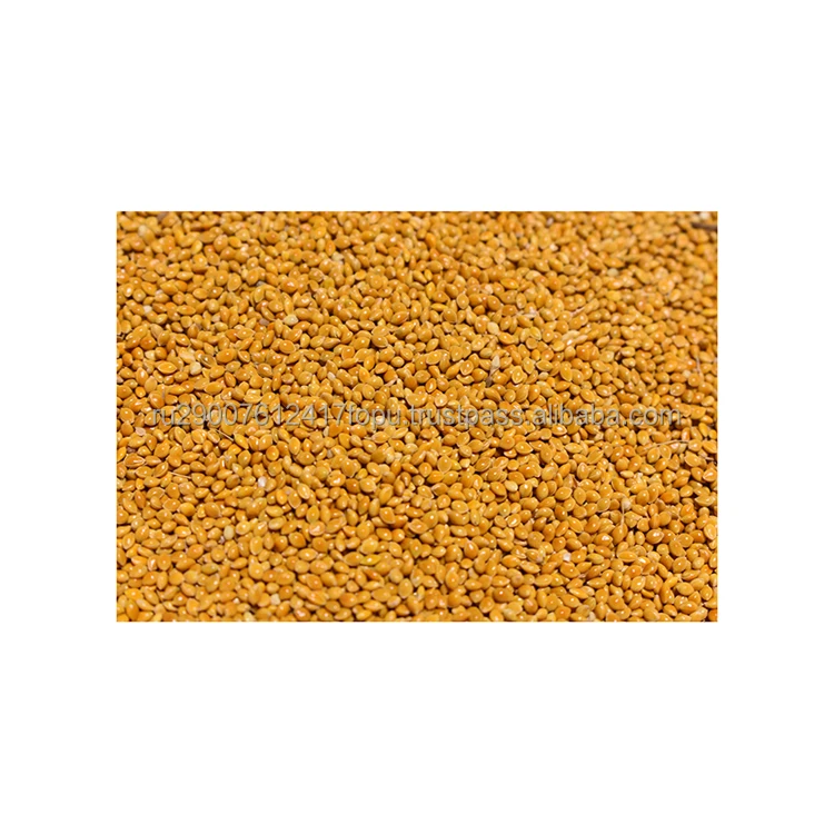 Cheap yellow millet gluten-free cereals with great potential for cooking and baking gluten-free delicacies, millet