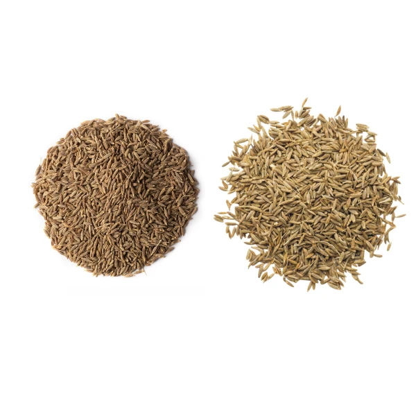 Wholesale Organic Dried Black Cumin Seeds Supplier
