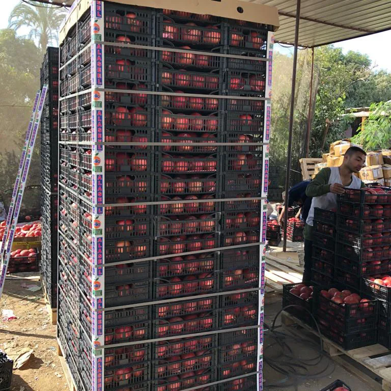 Natural pomegranate from Egypt ,supply you best quality and price