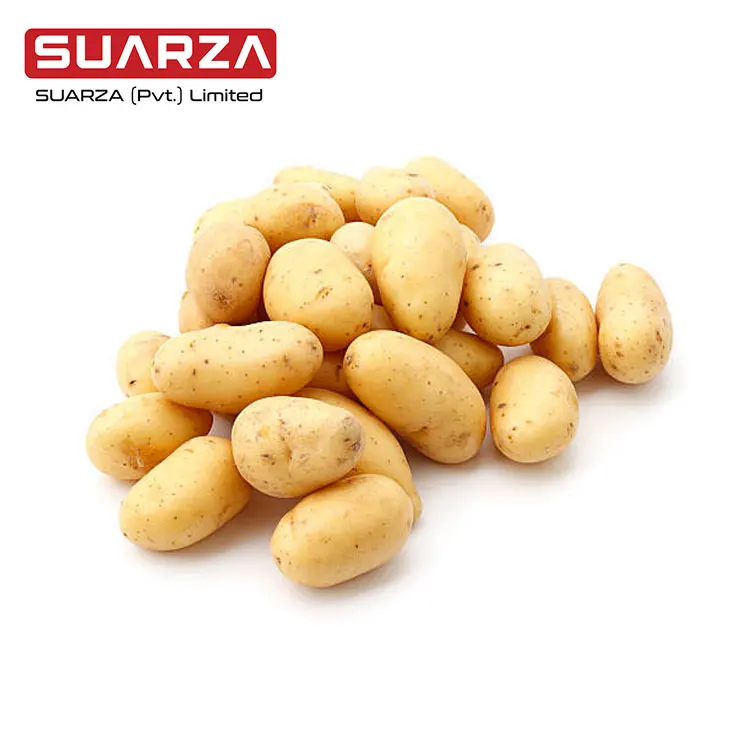 Mozika Potato / Fresh Potato