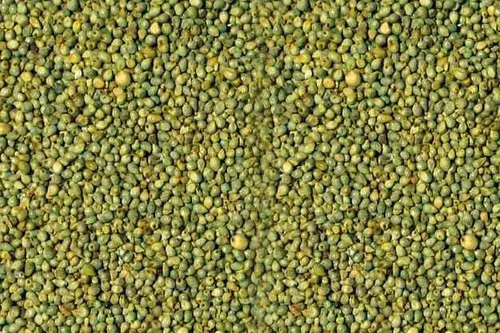 
Best Quality Yellow Millet For Sale 