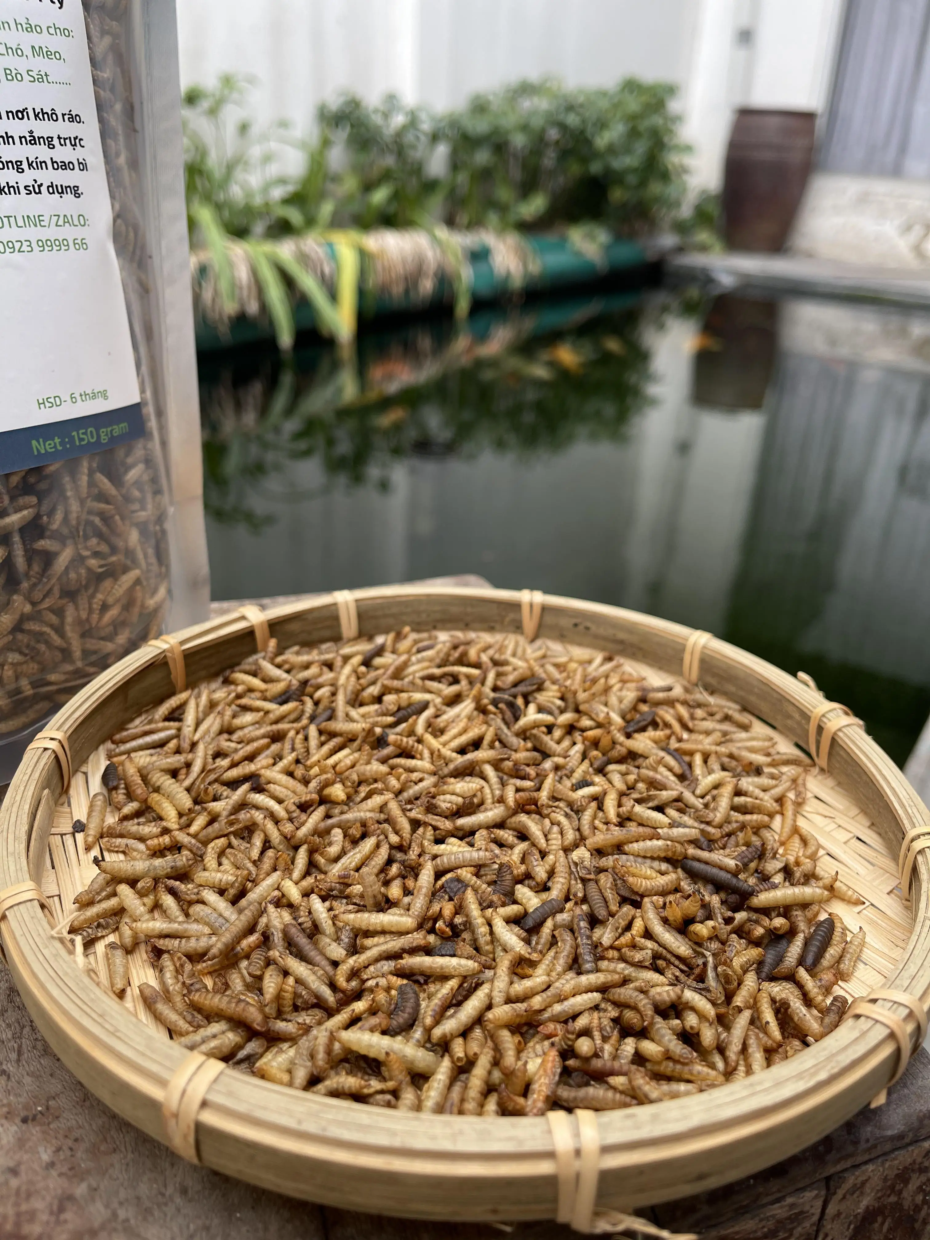 BBQ Natural Flavor Vietnam Home Pet Products Food Dried black soldier fly With 1kg Bag Packaging for animals