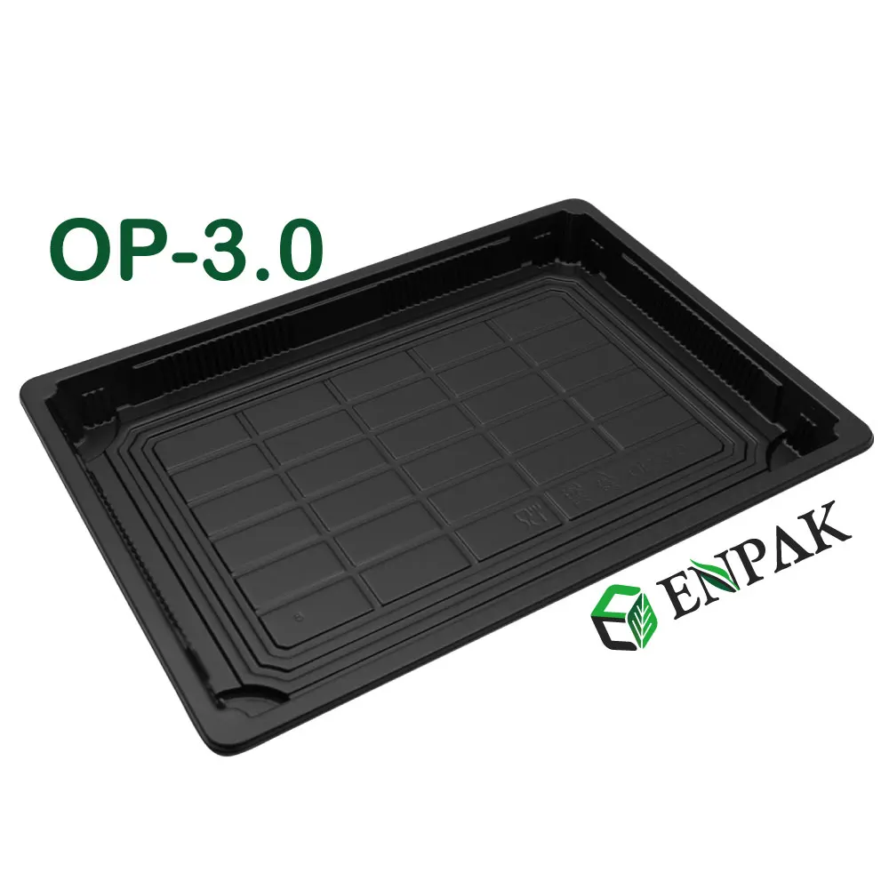 Sushi delivery boxes food container bpa free sushi use container