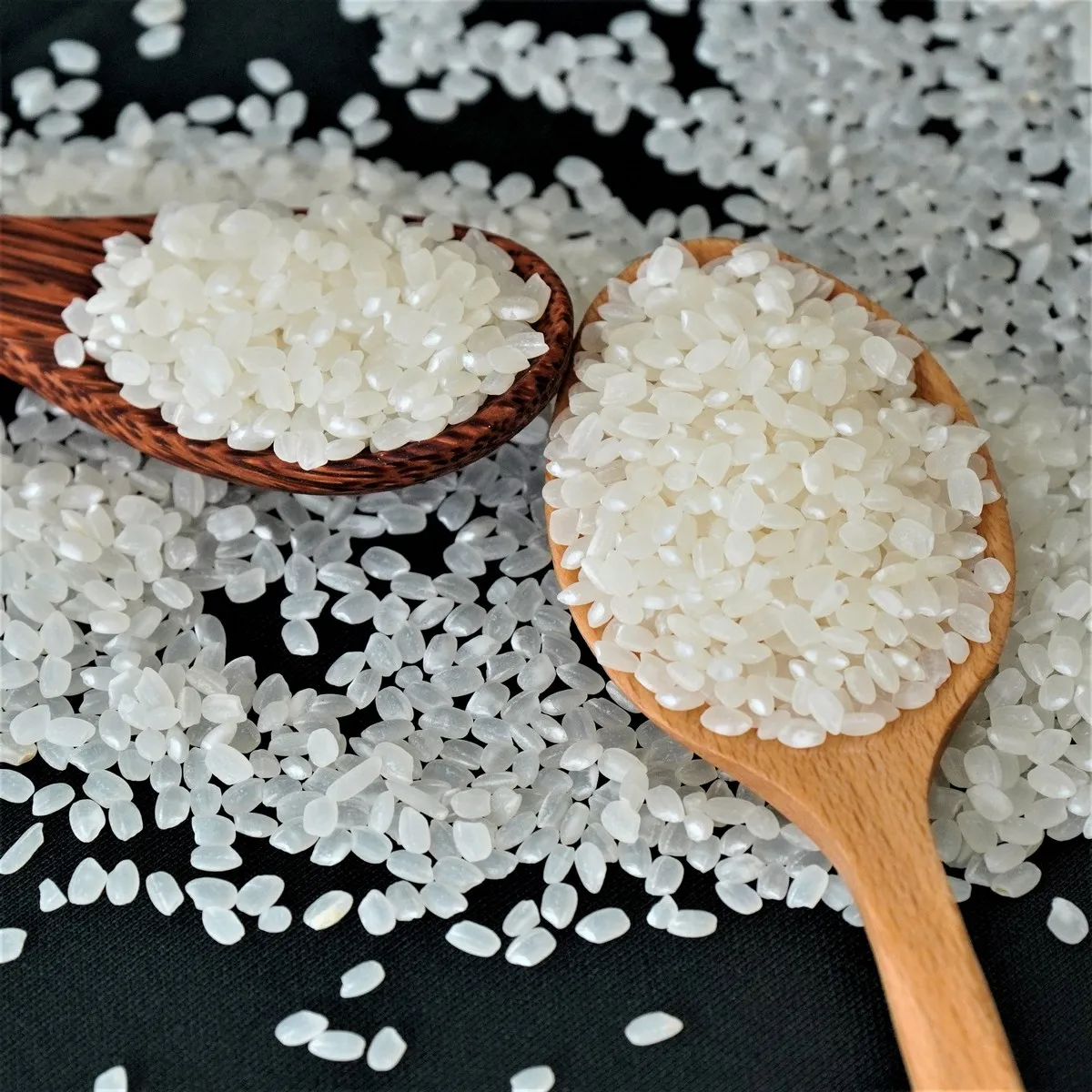 Wholesale Japonica Rice Sushi Rice Short Grain Rice  from Vietnam Best Supplier Contact us for Best Price