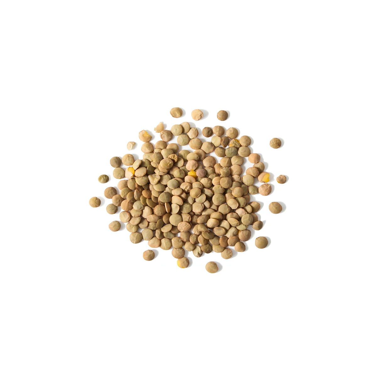 
Quality dried whole lentils high nutrition value, green lentils  (1600223184644)