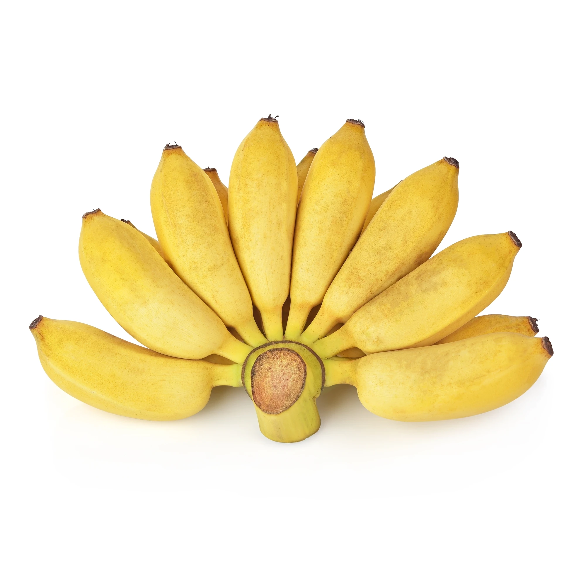 Fresh Cultivated Banana Fruit products Fresh bananas choicest Thai Fruit from Thailand fruit export