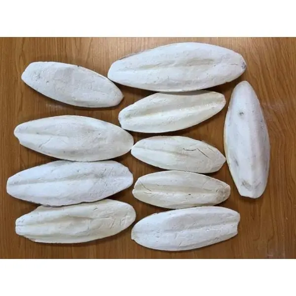 Cuttlebone в наличии