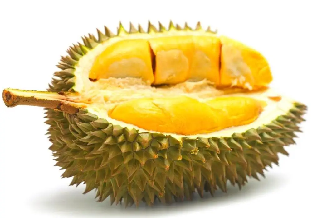 FRESH DURIAN WITH DELICIOUS TASTE IN VIET NAM WHATSAPP +84 787408159