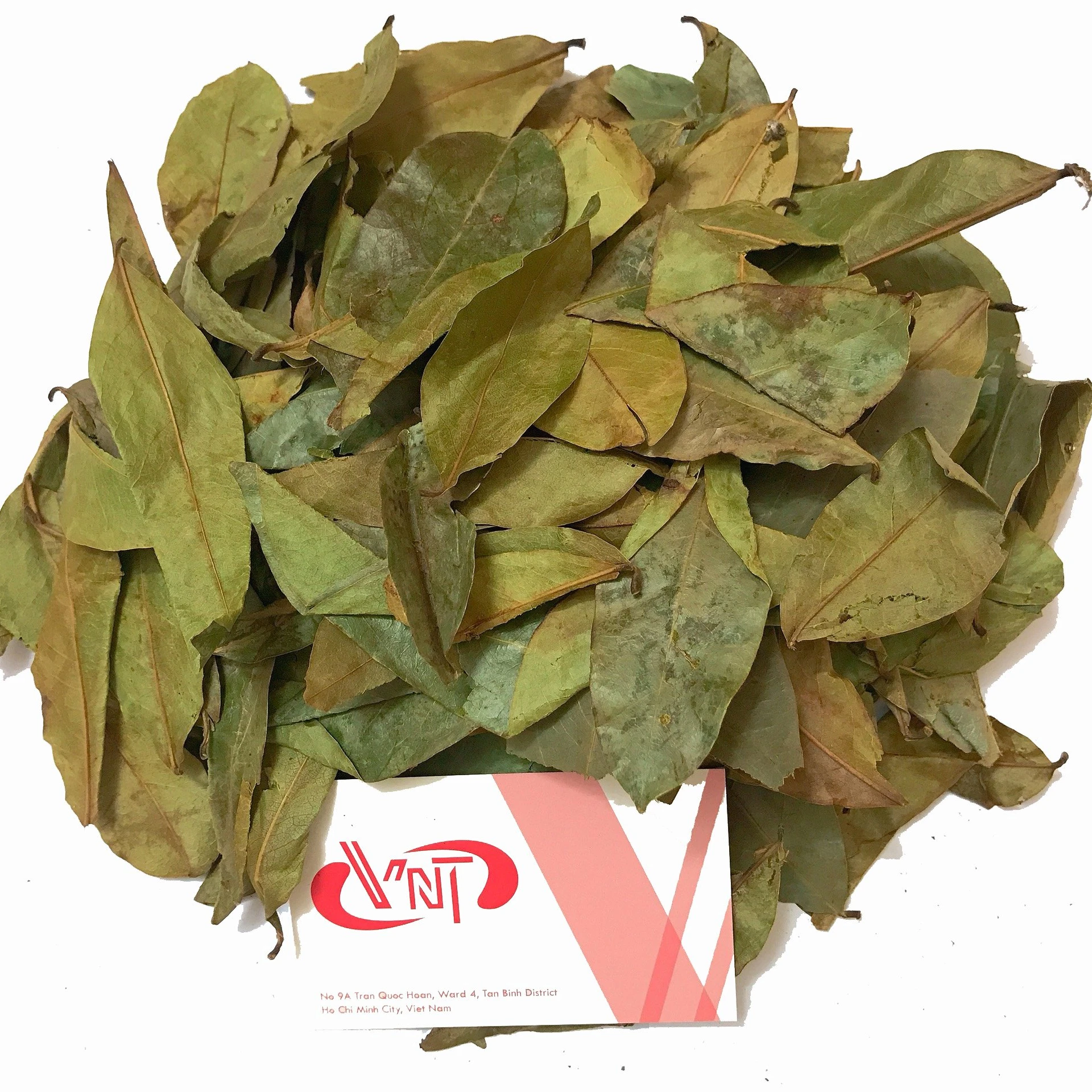 
Premium Quality Health Tea Graviola Leaves / Soursop Leaves from Vietnam - Europe standard - W/A: +84 90 335 4981 