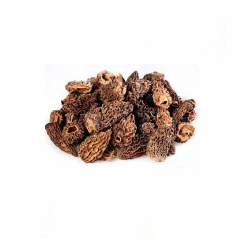 Wholesale Morel Mushrooms Flower Mushrooms for Sale