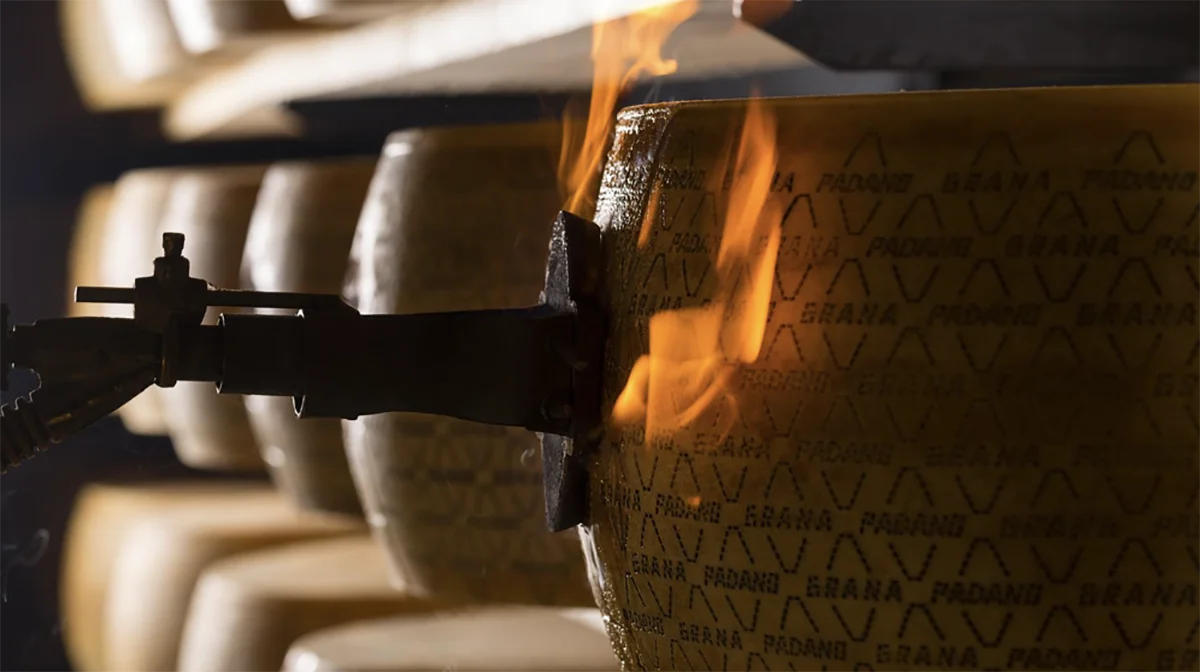 Высшее качество Сделано в Италии сено выбор Grana Padano PDO Cheese 10 месяцев цельное