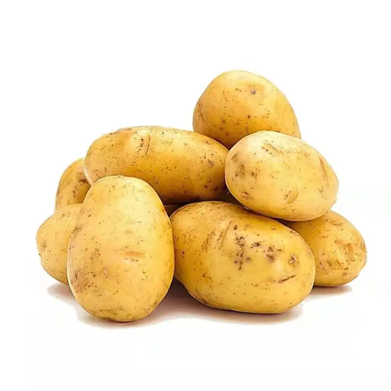 manufacturer factory direct selling fresh potatoes with good quality
