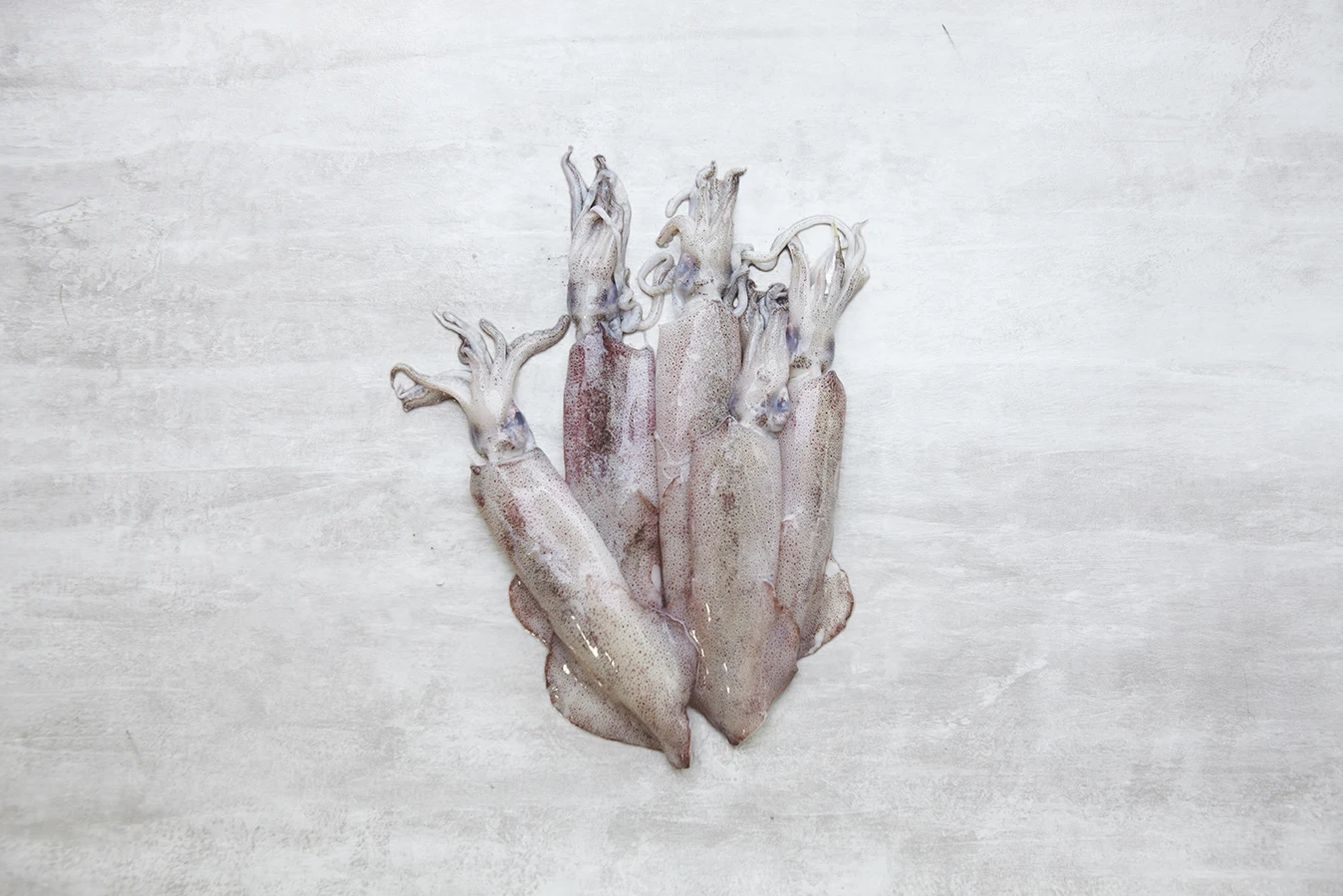 Fresh Loligo Chinensis Calamari Plain Packaging 2 kg/pkt Frozen Whole Round Squid with Tentacles of Squid