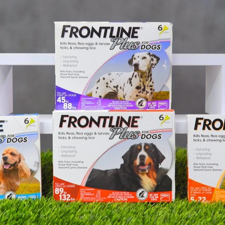 Flea, Frontline-Plus-Flea-And-Tick-Control-For-Cats Kittens Flea, Tick, Pest Control