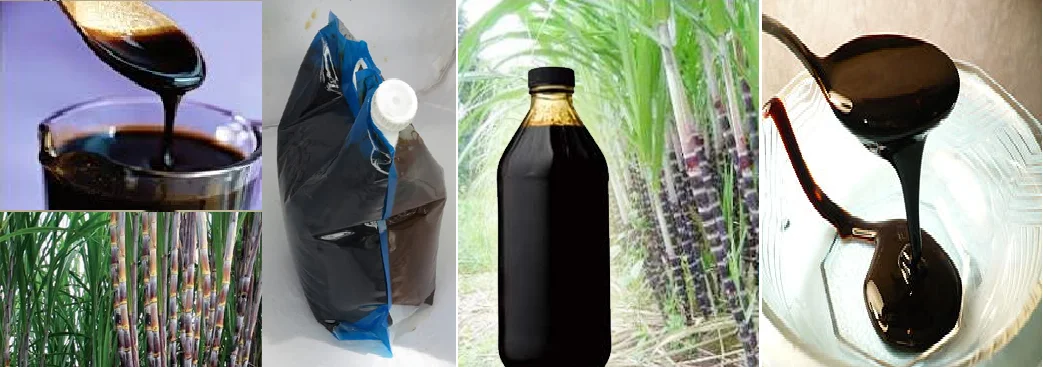 molasses6.png