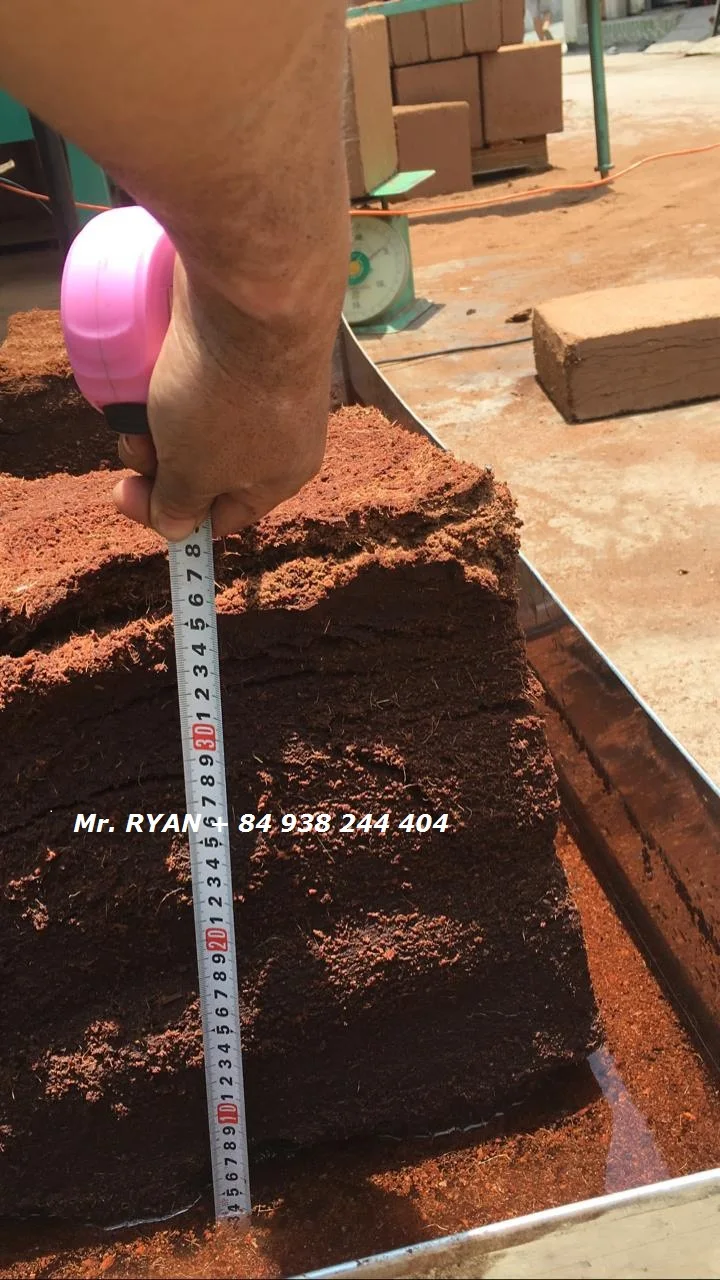 Coco peat block washed low EC 5 kg for gardening Ryan + 84 938244404