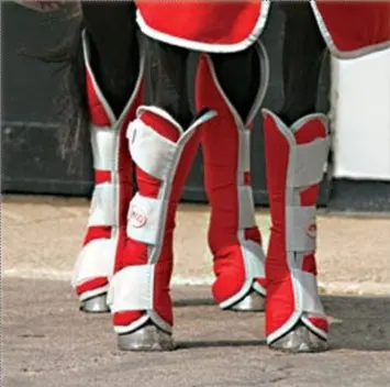 horse leg protect / equestrian boots