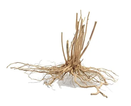 natural root decor