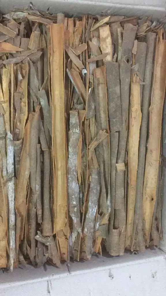 Wholesale High quality healthy food top Natural Brown Split Cassia Cinnamon / Cinnamon Stick traditional spices from India