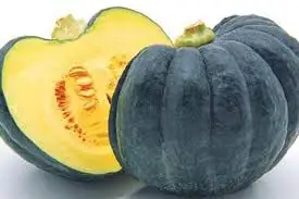 Best selling pumpkin in Vietnam/ Jasmine +84 896679047