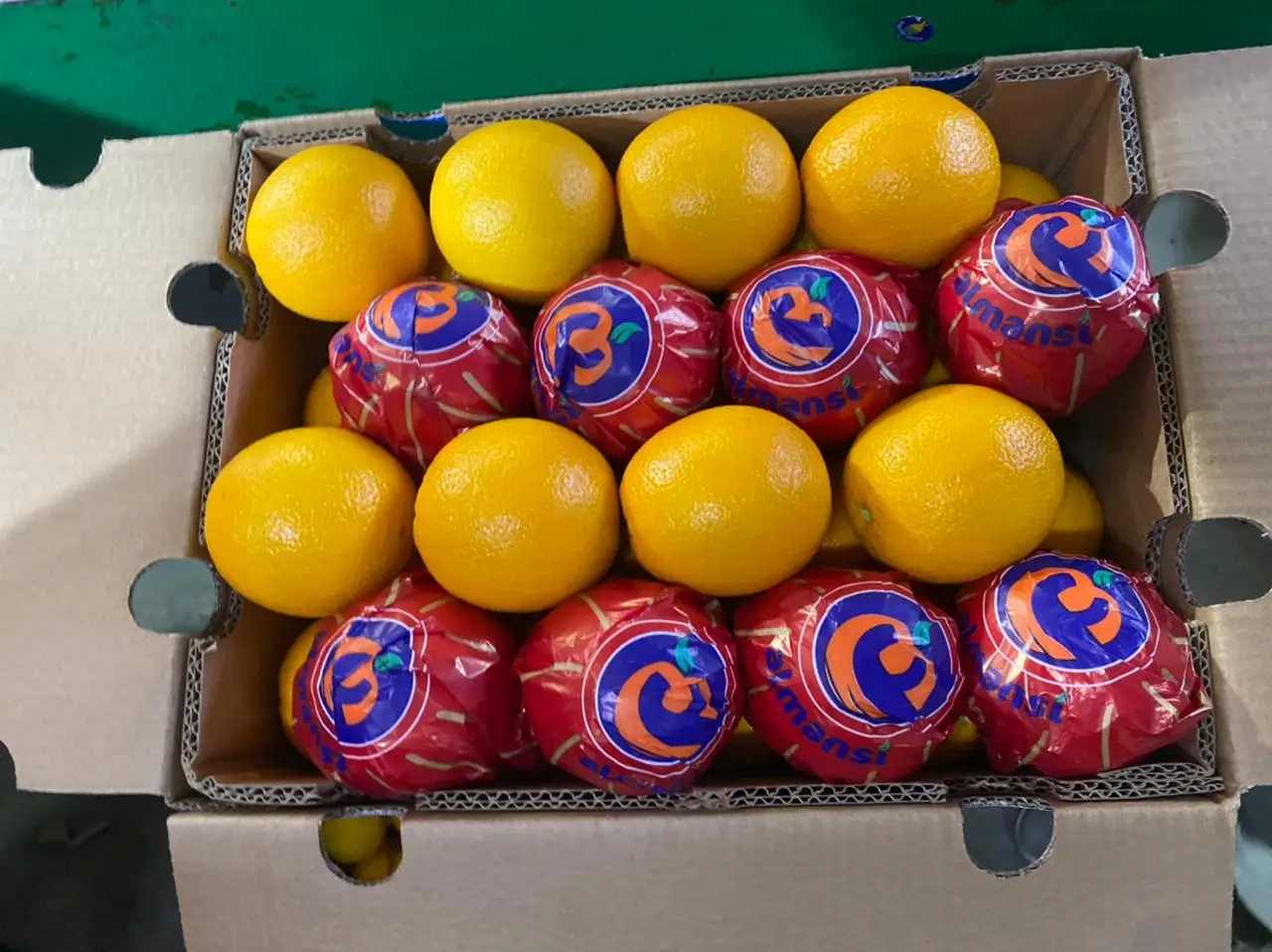 Fresh Valencia orange готова к экспорту сезон 2022 во