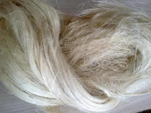 Sisal Fibers From Kenya