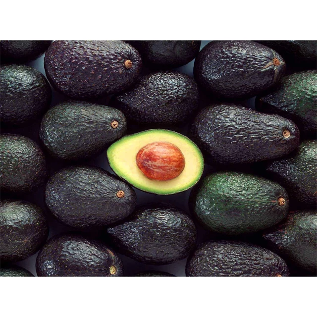 Fresh Super Delicious Taste Premium Quality Hass Avocado - Whole Fruit Export