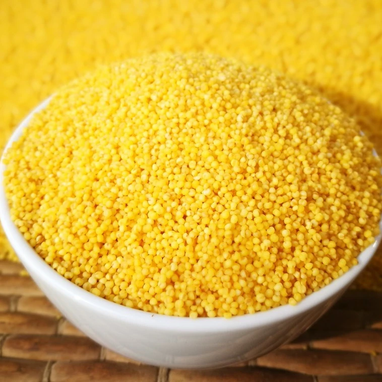  1st Grade Yellow