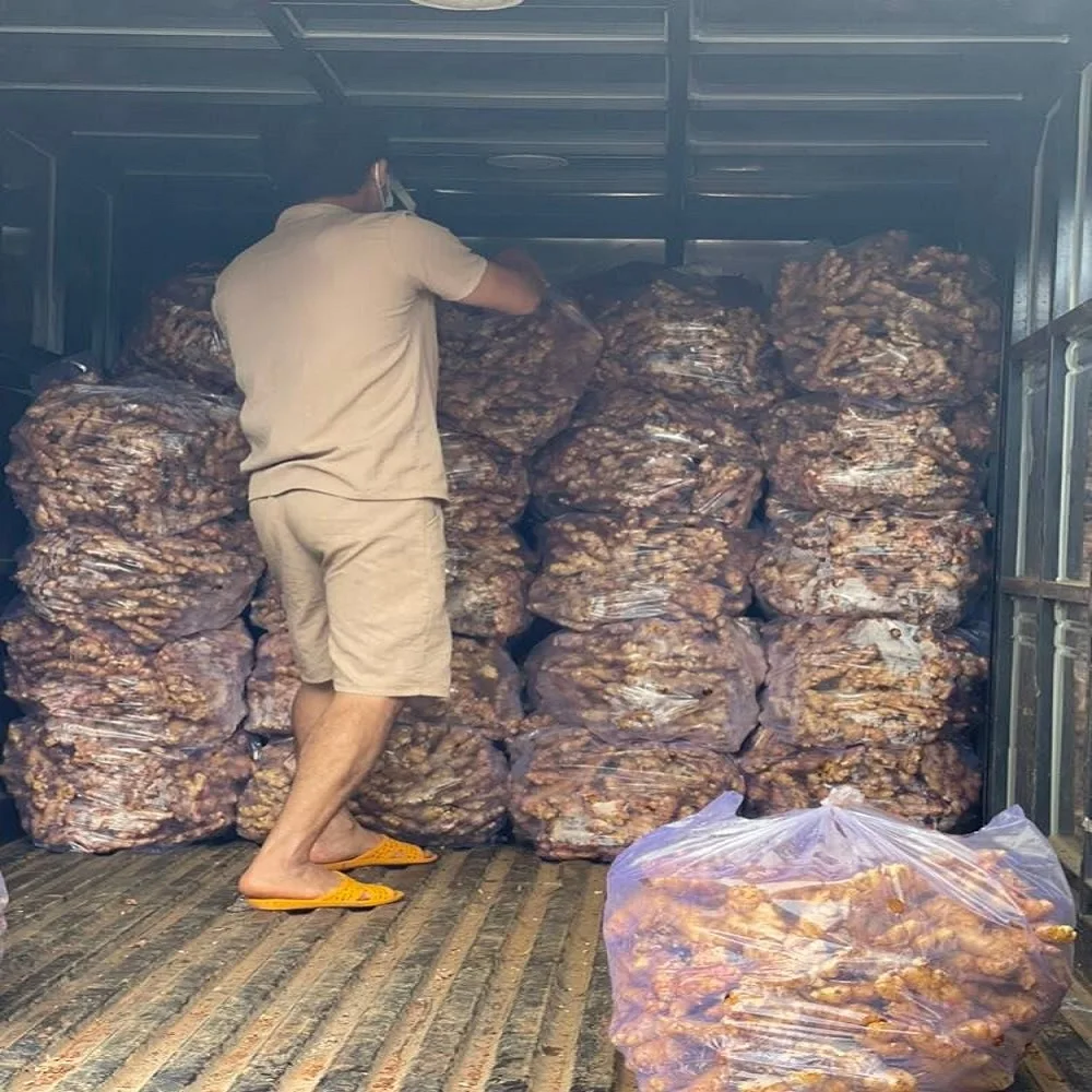 Fast Ship Product from Thailand VIETNAMESE GINGER & TURMERIC HIGH QUALITY EXPORTED PRODUCT