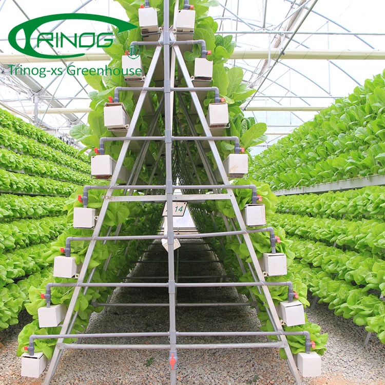 Trinog greenhouse NFT system Vertical A shelf hydroponics lettuce growing slot for greenhouse