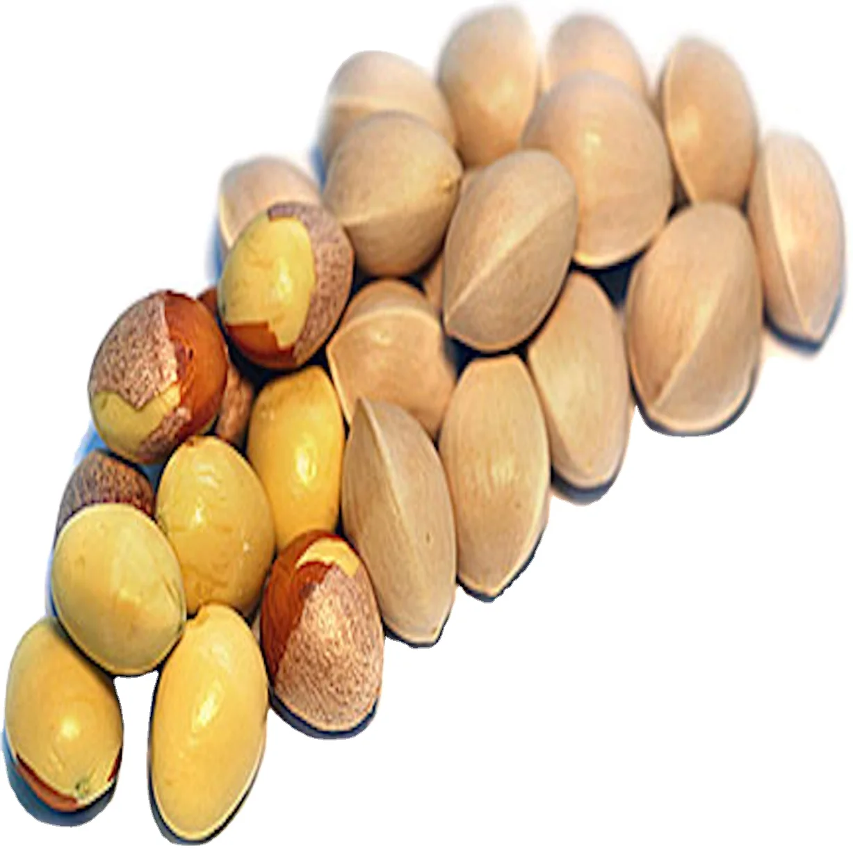 Ginkgo Nuts Good Quality forte Nuts Peeled raw dried Quality Raw Ginkgo Nuts / Kernels with shell and Without shell