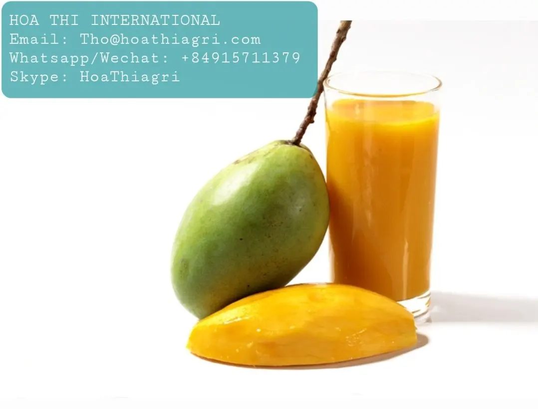 12 месяцев оболочки жизни стерилизованные кислый без сахара манго пюре с высоким качеством происхождения из Вьетнама