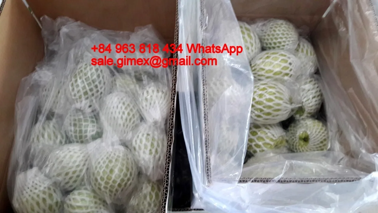 Свежий сладкий гуава + 84963818434 whatsapp