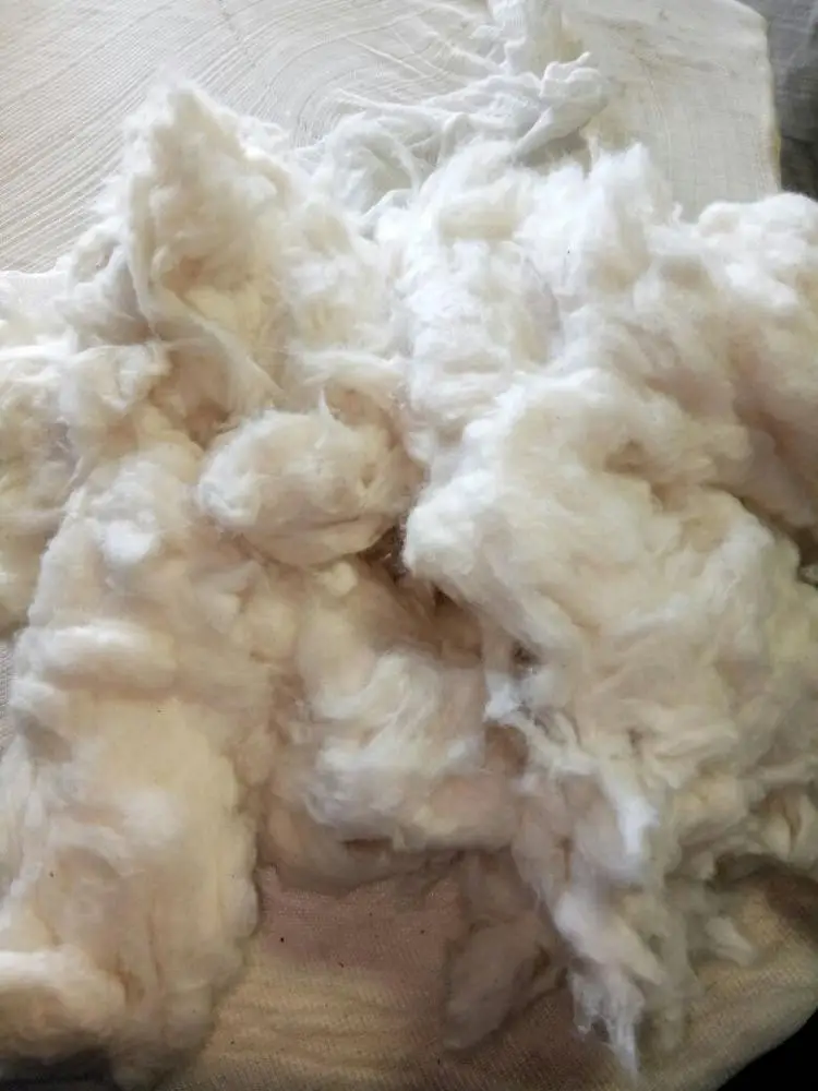 COTTON COMBER NOIL/ COTTON WASTE/100% COTTON COMBER NOIL