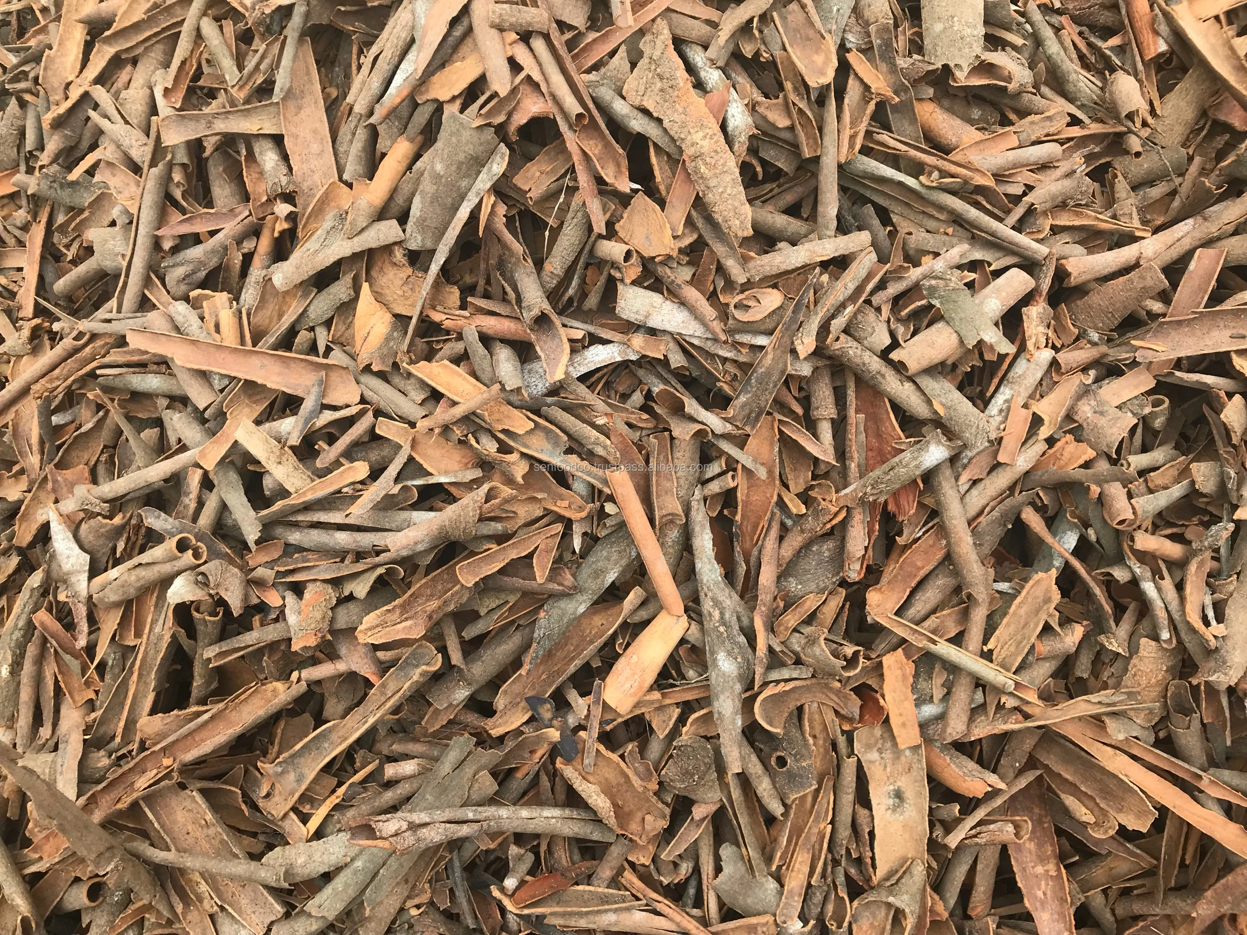 BROKEN CASSIA NEW CROP 2021 HIGH QUALITY