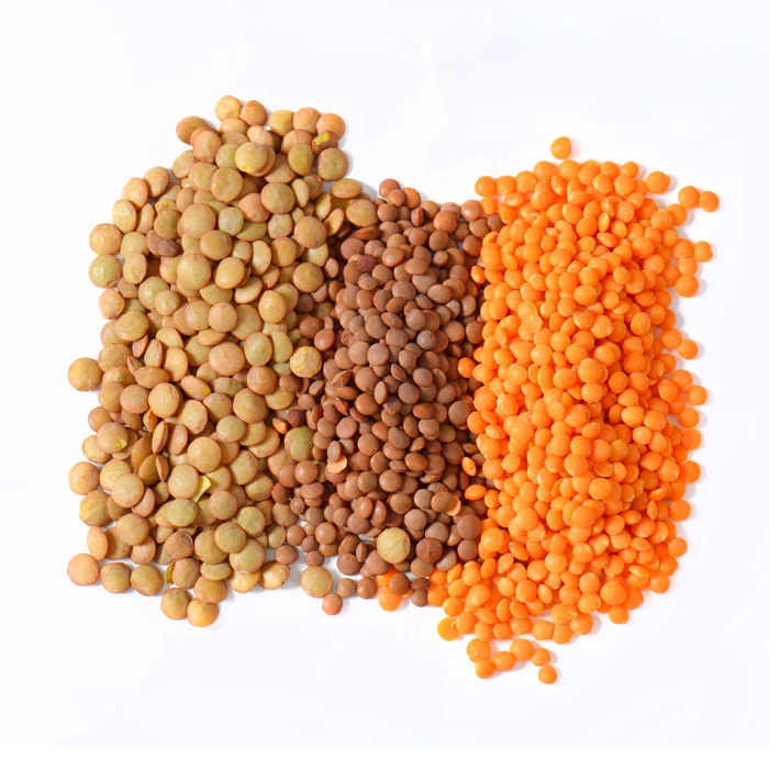 
Quality Green Lentils Red Lentils Brown Lentils For Sale 