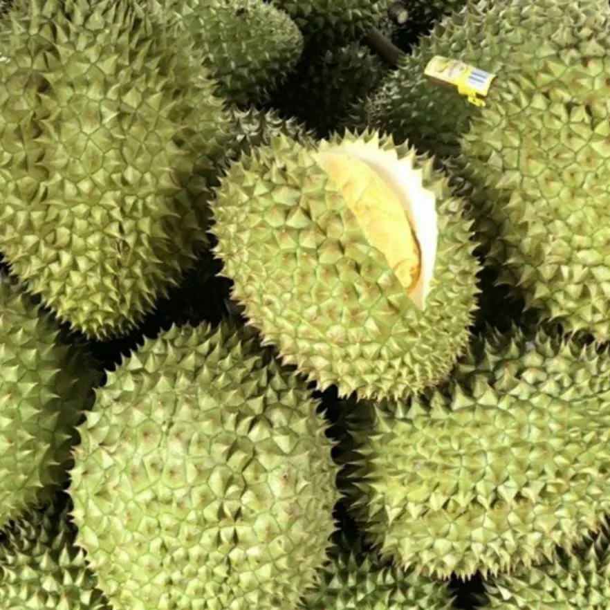 Monthong/ Dona Vietnam Durian fresh fruit- Premium, high quality, clean farming, Global GAP, prestige, attractive price