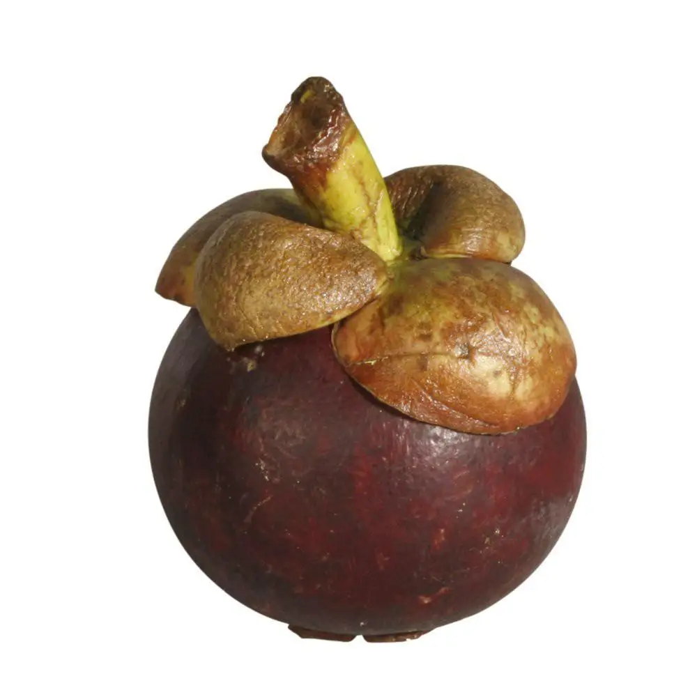 Fresh Fruit Perfect Quality - Mangosteen Fruit Safety Standards - VI HUYNH +84 911 695 402