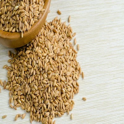  Factory selling organic price grain bulk quality Bulgur Wheat