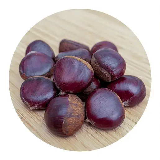 
New crop chestnut price/Chestnut from China/Wholesale chestnut 