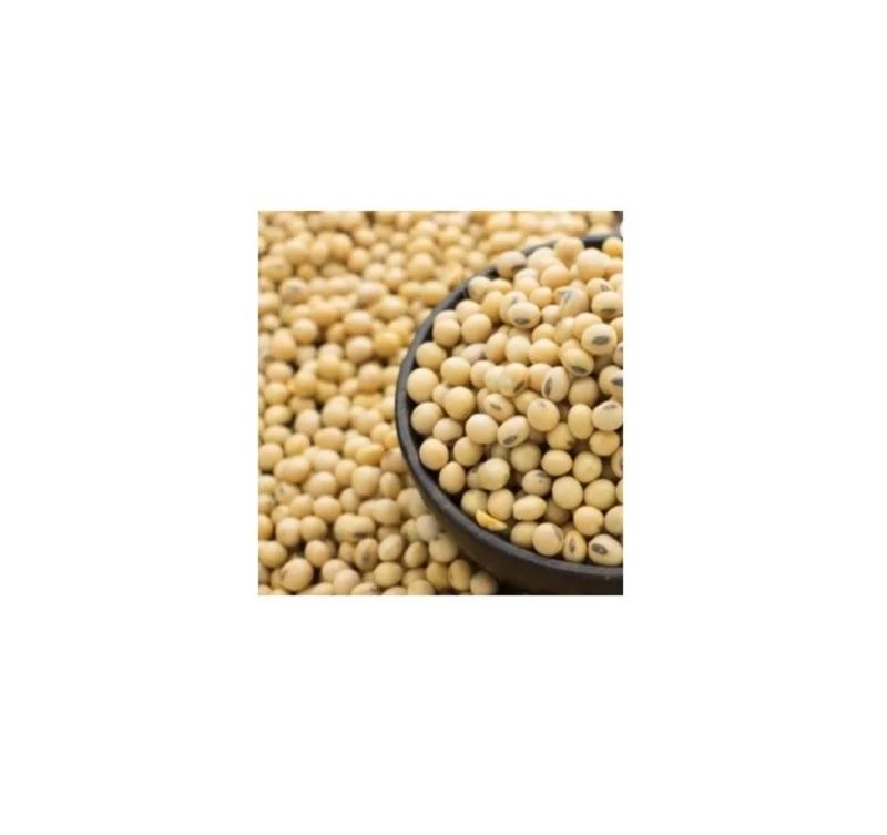 Fresh dried SOYBEAN High Quality Ready to Ship