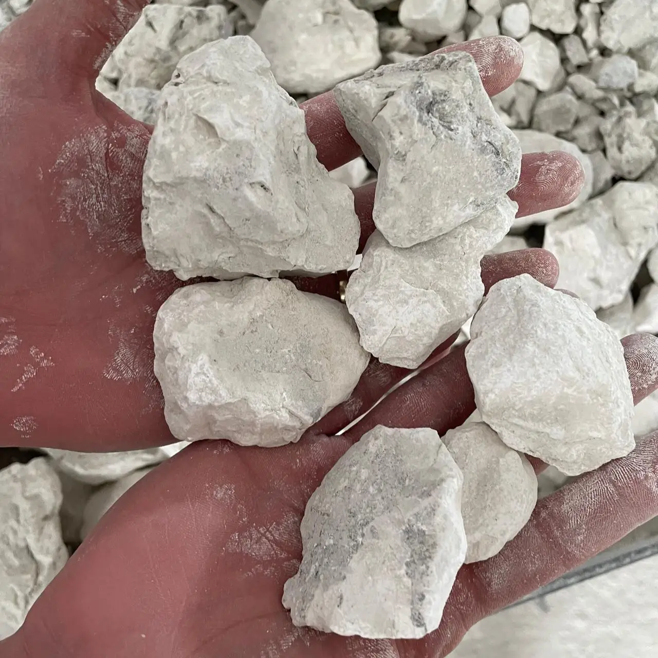 Low Price Calcium Quicklime - Burnt lime - for Steel making process