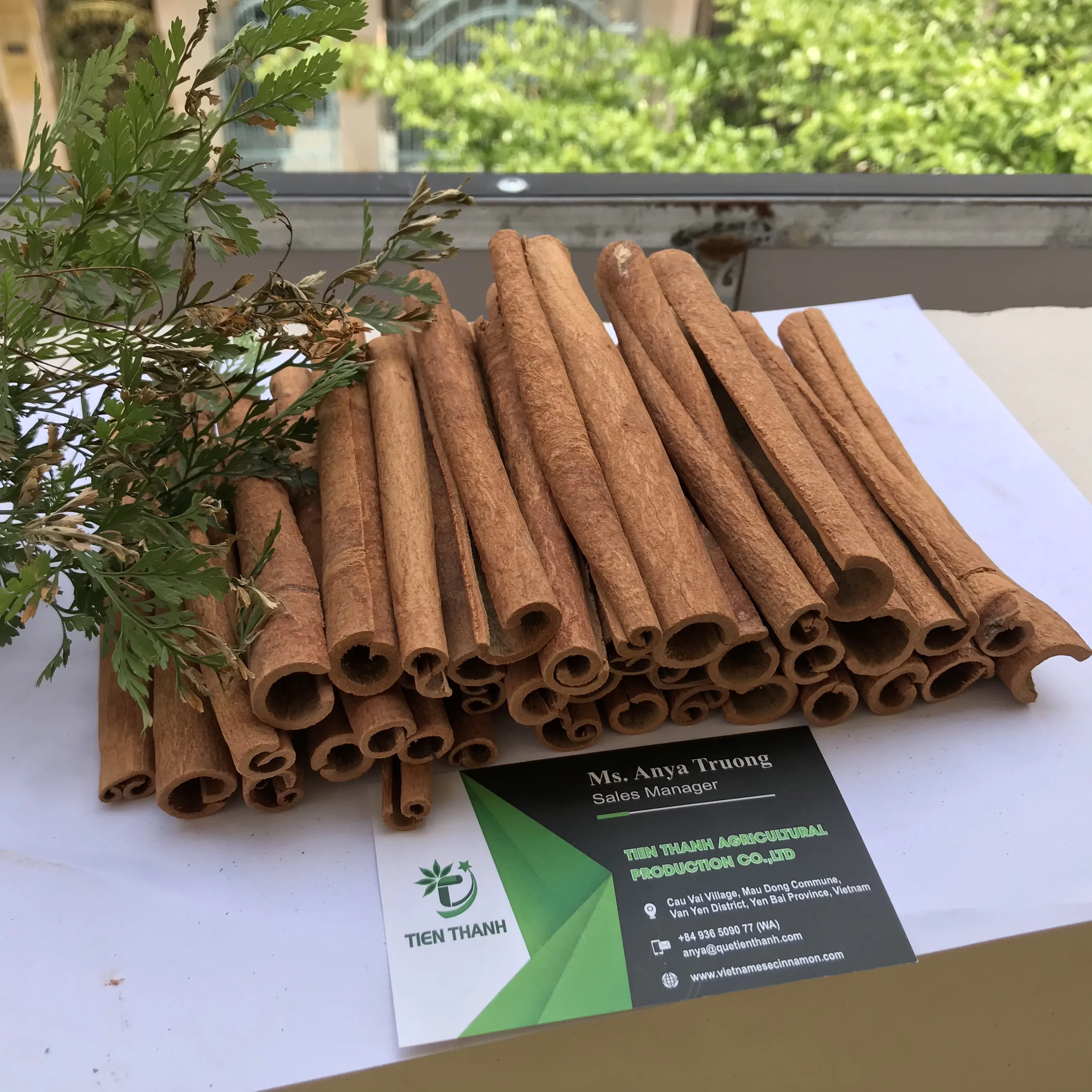 Stick Cinnamon /  Bastard Cinnamon / Canela de Cassia